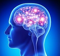 iStock_000032157646_Small brain scan