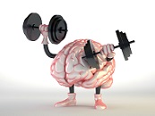 iStock_000049289926_Small brain weights