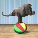Elephant balancing on a colorful ball