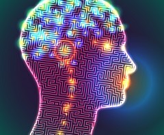 Head Labyrinth