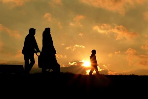 books mosley walking family