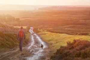 A hiker and their dog walking along a wet dirt track at sunset in the English Countryside. Edmondbyres Common.